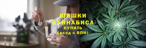 прущие грибы Богородицк