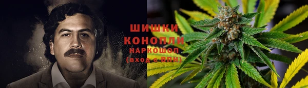 прущие грибы Богородицк