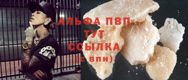 прущие грибы Богородицк