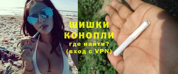 прущие грибы Богородицк