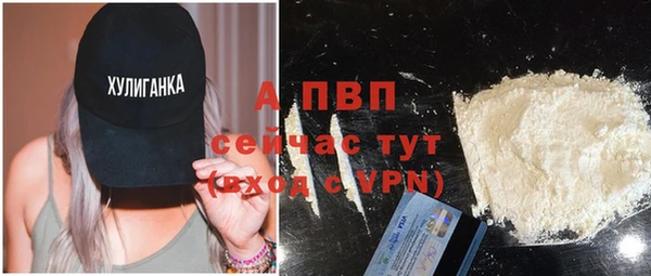 прущие грибы Богородицк