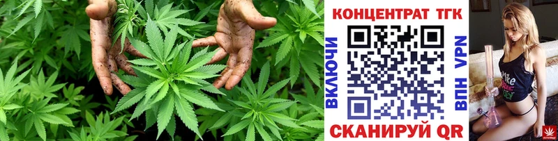 Дистиллят ТГК THC oil  Купить закладки  Новокубанск 